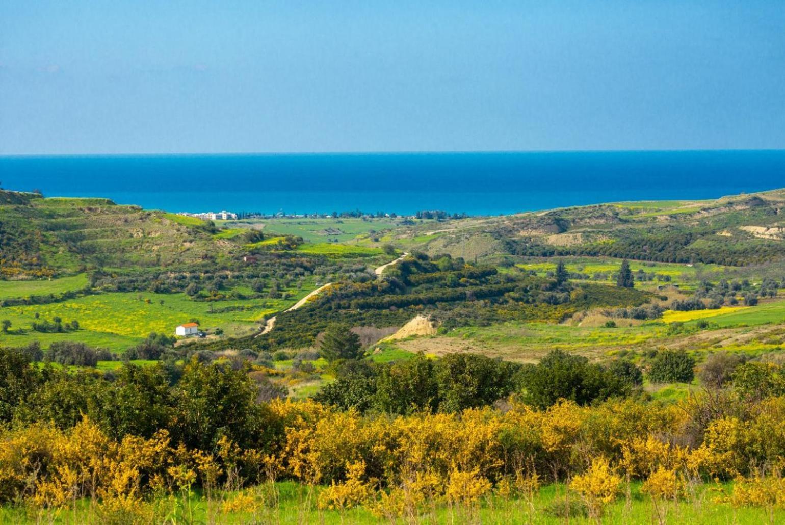 Villa Rallo Paphos Esterno foto